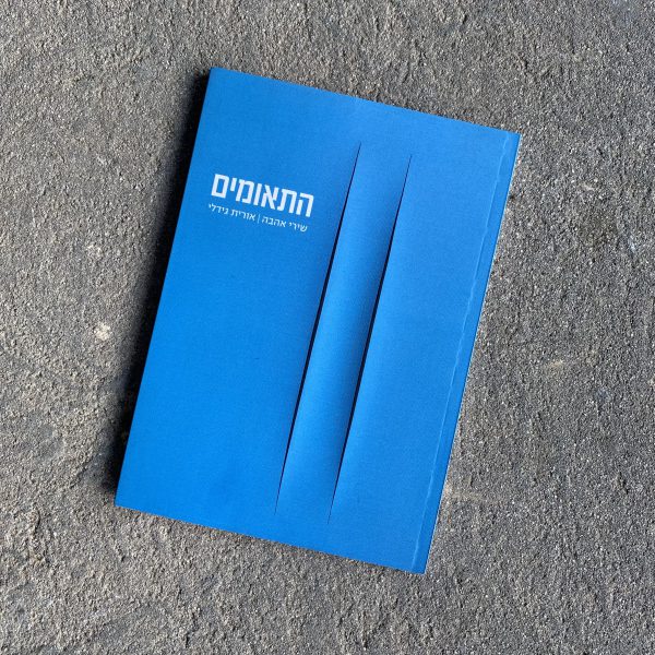 התאומים - אורית גידלי