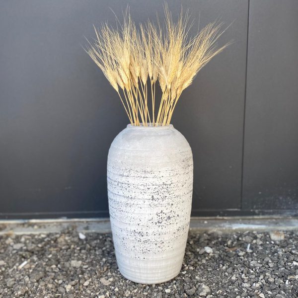 כד טרקוטה גדול (באיסוף עצמי)