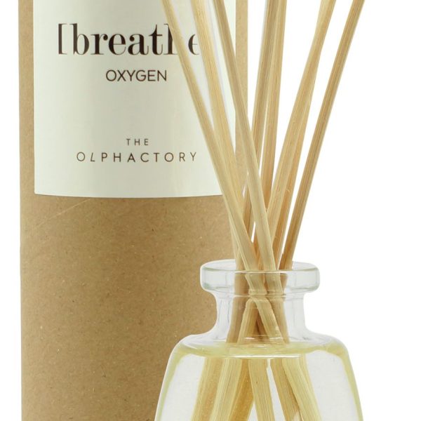 מפיץ ריח BREATHE